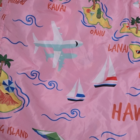 Edgar + Ash Men's Colorful Pink Hawaii Swim Trunks Shorts Size Large - Picture 3 of 9